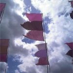 Pink Flags in Jazzworld
