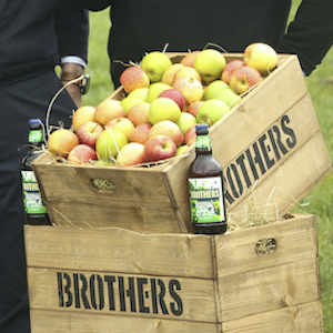 Local company Brothers is official cider of Glastonbury 2024